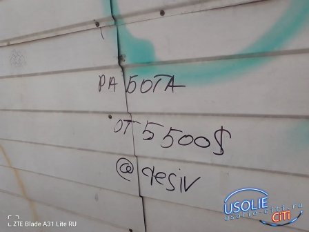 Усолье-Сибирское: где чисто, где нет – и что с этим делать