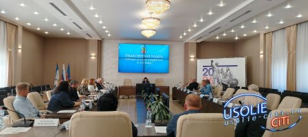 Собрание Общественной палаты Усолья-Сибирского: экология, безопасность и переселение