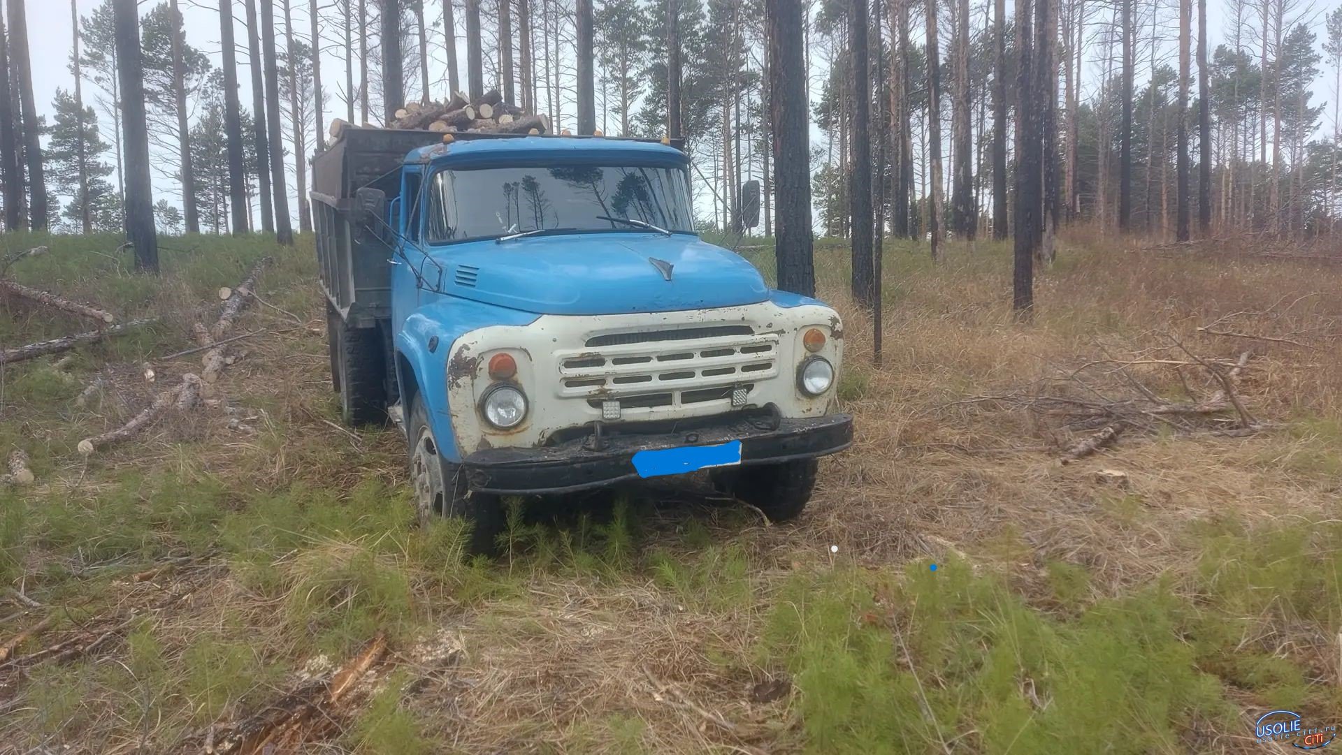 В Усольском районе полицейские задержали подозреваемого в незаконной рубке деревьев