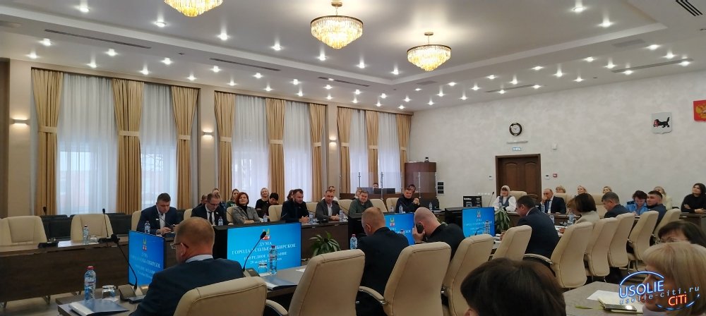 Дума Усолья-Сибирского утвердила льготы на проезд