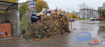 Мусор не первый день, а убрать некому: гора отходов на Красных Партизан