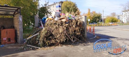 Мусор не первый день, а убрать некому: гора отходов на Красных Партизан