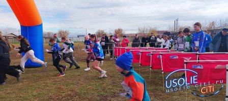 320 участников, контрольные пункты и электронные чипы: итоги осенних стартов по ориентированию в Усолье‑Сибирском